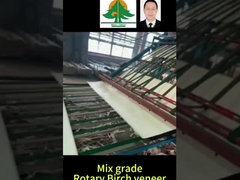 الحجم الكامل للفلير البرتشي الدوار سمك 0.5mm حجم 2600 * 1300mm للصنف المختلط