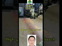 القشرة الخنفساء المقطوعة بالدوران