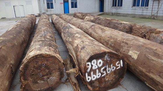 المصفوفة سانتوس الخشب الوردي الفنير التاج سمك الحبوب يمكن تخصيصها 0.15-1.8mm ل ل وجه مجلس الوزراء