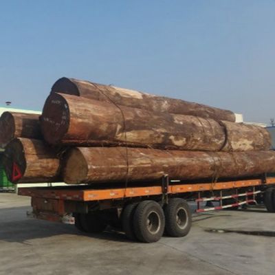 تقنيات قطع شرائح المشمش الأبيض هندسيا القشرة الخشبية H86C لتغطية الجدران