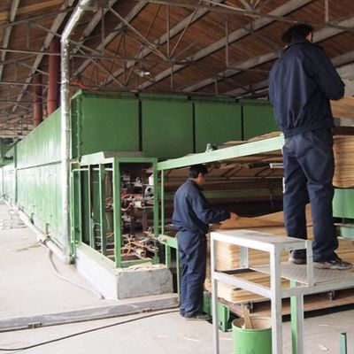 تقنيات قطع شرائح المشمش الأبيض هندسيا القشرة الخشبية H86C لتغطية الجدران