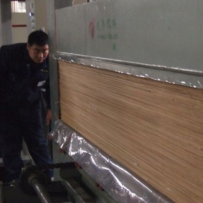 أثاث مصنوع من خشب القشرة الخشبية تاج الحبوب المشمش الأبيض H06C 0.15-0.6mm مجزوز الظهر