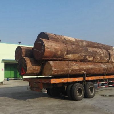معاد تشكيل قشرة خشب الجوز الأسود H671s تقنيات قطع شرائح الحبوب العمودية سعر جيد من مصنع الصين للباب