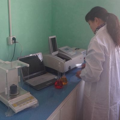 تصميم جديد من قشرة خشب ريكون ونج WSW-L6761N قابلة للتخصيص بسماكة 0.15-0.55 مم لوجه الباب الداخلي