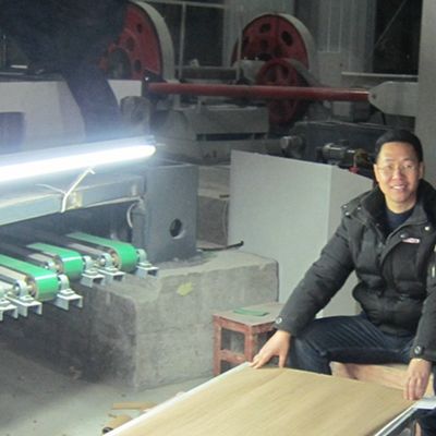 صناعة الفضة الكمثرى الفنير ورقة ربع قطع سعر جيد لللوحات الفاخرة 2500-3200mm