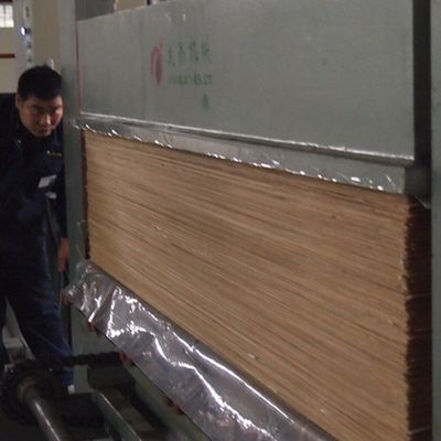 المهندس الخشب النخاعية الصفحة الفنير واجهة لوحة فاخرة التاج الحبوب 0.55mm سمك للخزانة