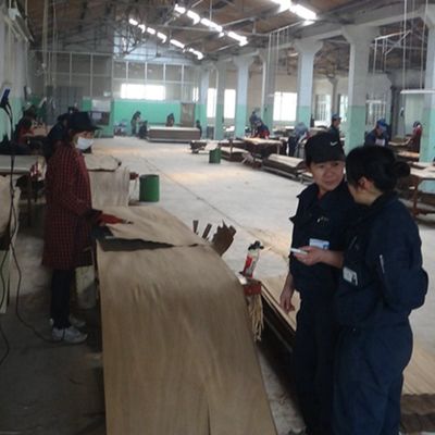 التدخين Sapele Pommele المعدات الخشبية القشرة 2500-3100 مم الحجم المطول
