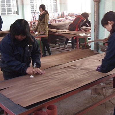 مركب معاد تشكيله هندسيًا قشرة خشب الأبنوس H408 3100mm للخزانة