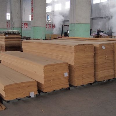 EV الجوز الخشب القشرة H621C الجوز الطبيعي تاج الحبوب 2500 مم 2800 مم