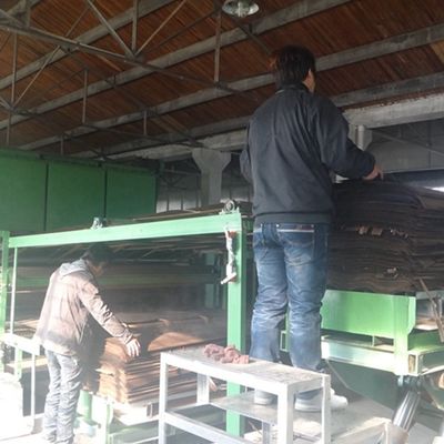 أيش سابيل بومميلي الخشب المهندسية القشرة القياسية الحجم 2500 * 640mm