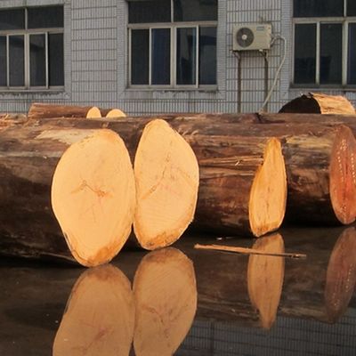الرومانية RN-X4092C 2500 * 640mm الحجم القياسي المهندسية الخشب الفينير للزخرفة الفندقية