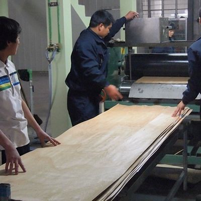 التدخين صبيل بومميلي الهندسة البلوط الفنير سمك 0.18-0.6mm للوحة الحائط