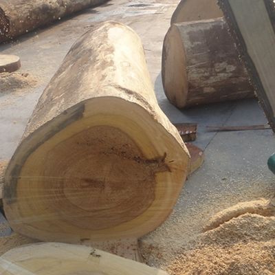 التدخين صبيل بومميلي الهندسة البلوط الفنير سمك 0.18-0.6mm للوحة الحائط
