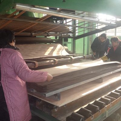 المهندسة الخشب الجوز الفنير ربع قطع الحبوب العمودية 942s / 943s للباب الداخلي