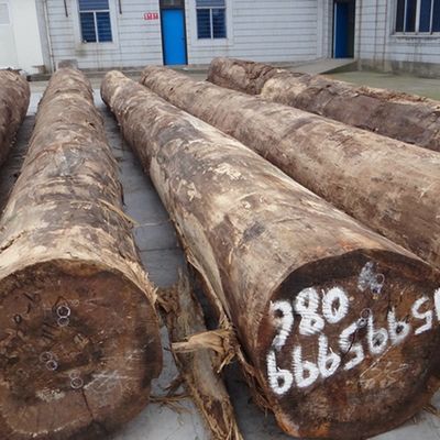 ربع قطع من التيك الهندسي 2500 * 640mm الحجم الطبيعي الحبوب المستقيمة للزخرفة الفندق