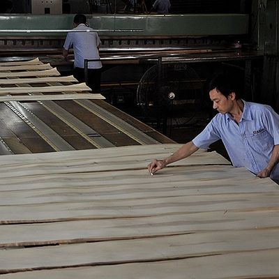 أوراق الخشب الصلبة الأمريكية البيضاء الشجرة الشجرة الأمريكية الشجرة الصلبة الشجرة الأمريكية الشجرة البيضاء الشجرة الصلبة الشجرة الأمريكية الشجرة الصلبة الشجرة الأمريكية الشجرة الصلبة الشجرة الصلبة الشجرة الأمريكية الشجرة الصلبة الشجرة الأمريكية الشجرة الصلبة الشجرة الأمريكية الشجرة الصلبة الشجرة الأمريكية الشجرة الصلبة الشجرة الأمريكية الشجرة الأمريكية الشجرة البيضاء الشجرة الصلبة الشجرة الأمريكية الشجرة الأمريكية الشجرة الصلبة الشجرة الفاخرة والصبغية