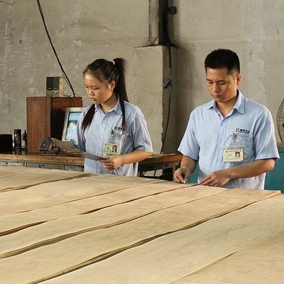 زخرفة قشرة خشب الجوز الطبيعية ممتازة بورل الحبوب لصنع أثاث من الدرجة العالية FSC China Manufacturer