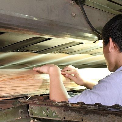 OEM القشرة الخشبية الطبيعية الماهوجني مستقيمة الشكل الحبوب 2500-3100MM لباب الجلد