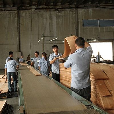 القيقب الطبيعي الأمريكي القيقب سمك القيقب 0.5 ملليمتر نوعية جيدة للأثاث وآلة موسيقية