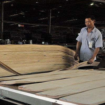الآلات الموسيقية Africa Anegre مجسم قشرة خشبية Fiddle Back Grain 0.5mm