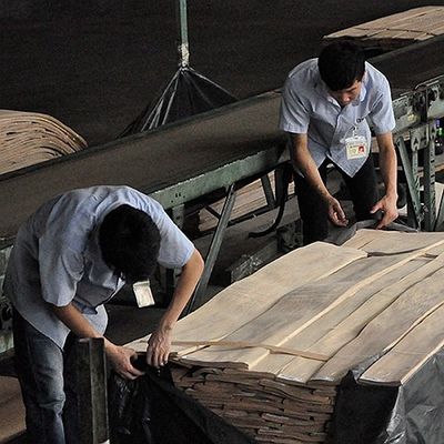 مجزوز العودة الطبيعية خشب الماهوجني القشرة 0.5 مم المنشعب الخاص لتزيين الفندق
