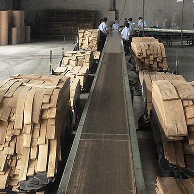 الخشب الصلب أوراق القيقب الأمريكي الدرجة A للقطعة الربع حبة التاج اللون الطبيعي للباب وجه 3200mm فوق