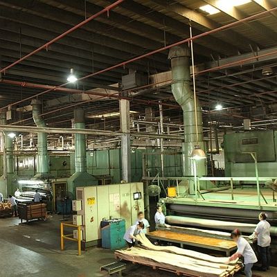 الخشب الطبيعي الأبيض الرمادية القشرة ربع قطع حبة مستقيمة الطول 2050-3200mm للأثاث والباب