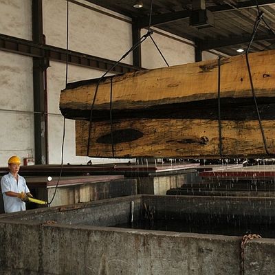 OEM القشرة الخشبية الطبيعية Primavera شقة قطع تاج قطع للألواح والأثاث 0.5 مم