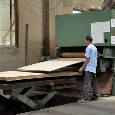 يتوهم هيكوري ثنائي اللون تاج قائم على الحبوب MDF / ألواح جسيمات لوح قشرة 2440x1220mm