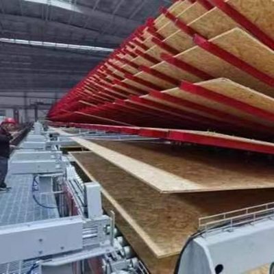 Radiata Pine Oriented Strand Board Osb4 2440*1220*18mm Can Be Customsized For Exterior Wall And Roof Panel ويمكن تخصيصها للجدار والسقف الخارجي