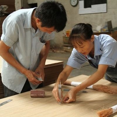 3D Wood Veneer للأثاث والجدران الداخلية - 3DZM-L3.0-1N