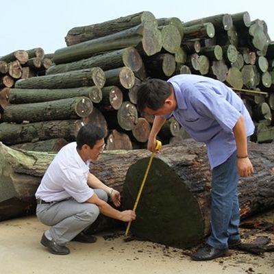 تصميم جديد للفنير الاصطناعي من خشب الأرز FCW-L146N / L246C تقنيات قطع الشرائح 2 * 8 بوصة لوجه مجلس الوزراء