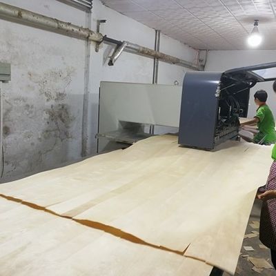 طلاء خشب ريكون عالي الجودة جوز الطبيعي Wt-X873n 2850mm الطول للوحة تزيين الباب الصين المصنع