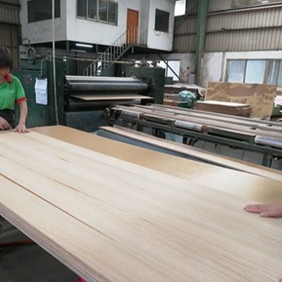 طلاء خشب ريكون عالي الجودة جوز الطبيعي Wt-X873n 2850mm الطول للوحة تزيين الباب الصين المصنع