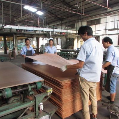 3D Wood Veneer للأثاث والجدران الداخلية - 3DZM-L3.0-1N