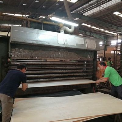 الرومانية RN-X8092C التاج الحبوب غير منتظمة النسيج 2500-3100mm التصميم الحديث الباب الخشبية