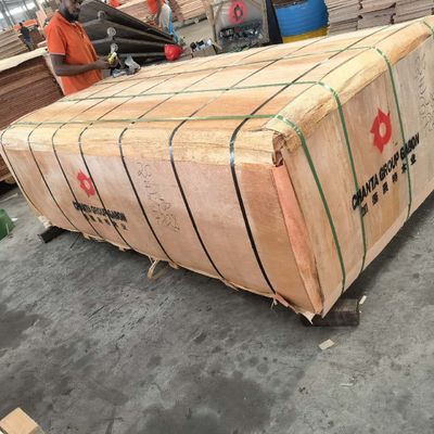 2440*1220 قطعة كاملة غابون أوكومي الخشب القشرة 0.2mm - 0.4mm لمصنع اللوحات الفاخرة