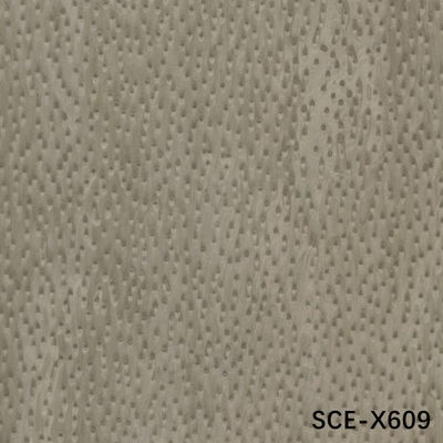 طويلا الحجم 2850mm الهندسة الخشب الفنير للزخرفة الفندقية SCE-X609