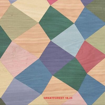 الشاشة الفنية الخشبية 2500 * 640mm العمل اليدوي الشكل الثابت المعدل الفن التوصيل للحائط