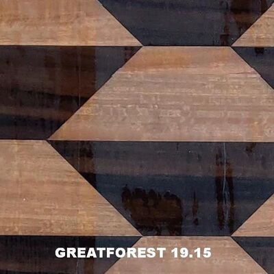 الشكل الجغرافي الشهير 0.50mm سمك الباب الخشبي