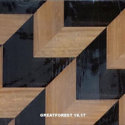 قشرة خشب الباركيه الفني كولاج متماثل نمط هندسي غني بالألوان لوحة خشبية 0.55 مم