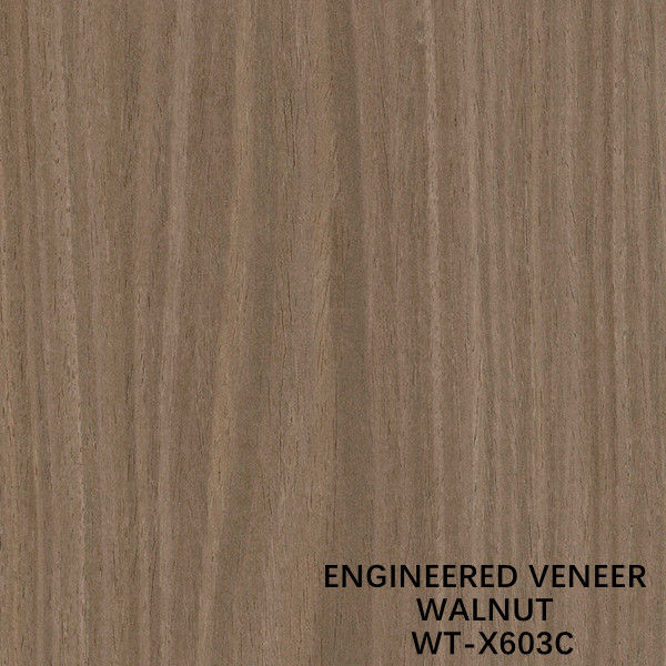 اللون البني للوحة الباب والخزانة WT-X603C