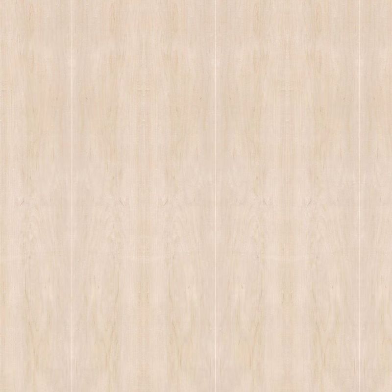 تواجه القيقب الطبيعي تاج القشرة الخشبية الحجم القياسي 2440 * 1220 للأثاث ومجلس الوزراء الصين مصنع Iso