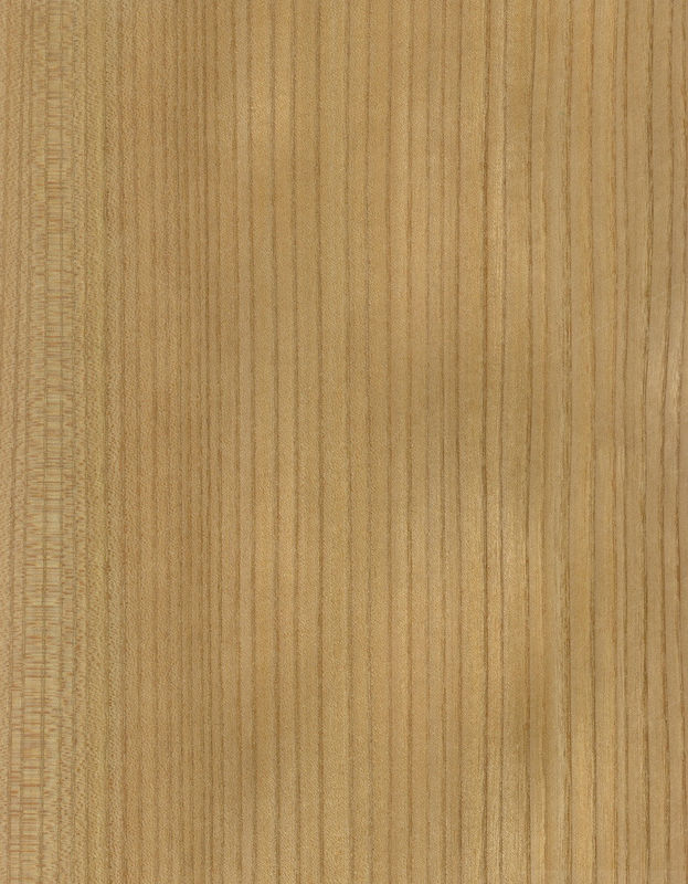 الخشب الصلب أوراق القيقب الأمريكي الدرجة A للقطعة الربع حبة التاج اللون الطبيعي للباب وجه 3200mm فوق