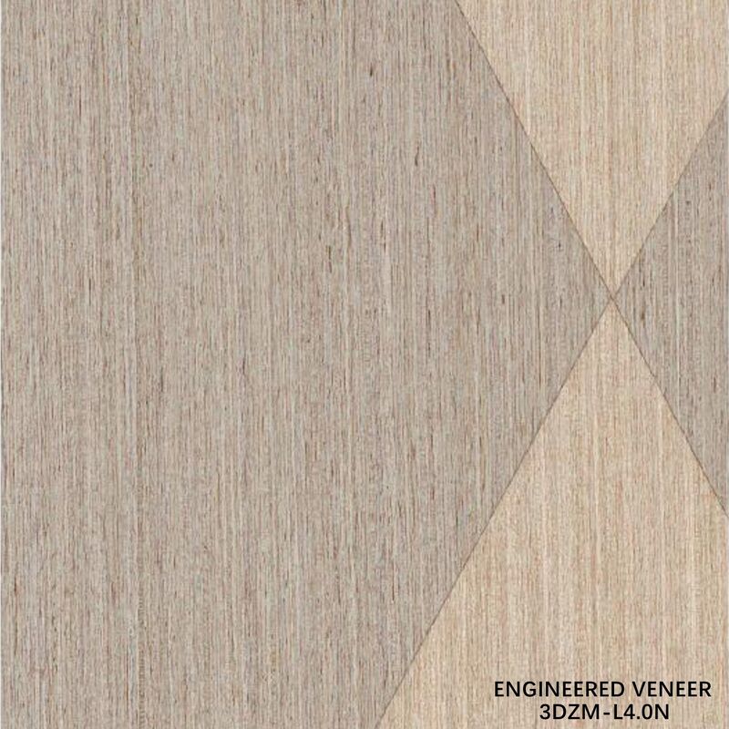 قشرة هندسية زخرفية ثلاثية الأبعاد للديكور الفندقي/السكني، مقاسات ونقوش مخصصة 3DZM-L4.0N