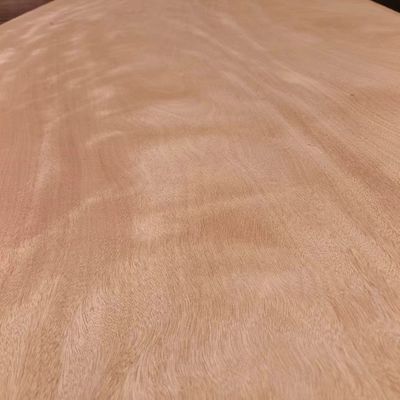 2440*1220 قطعة كاملة غابون أوكومي الخشب القشرة 0.2mm - 0.4mm لمصنع اللوحات الفاخرة